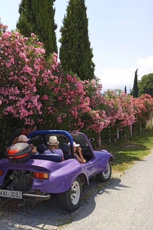 Thessaloniki : Buggy Safari "Discover Olympus" - Key Points