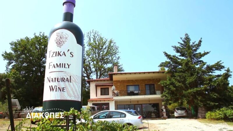 Thessaloniki Day Trip to Petralona Cave,Afytos& Wine Tasting - FAQ