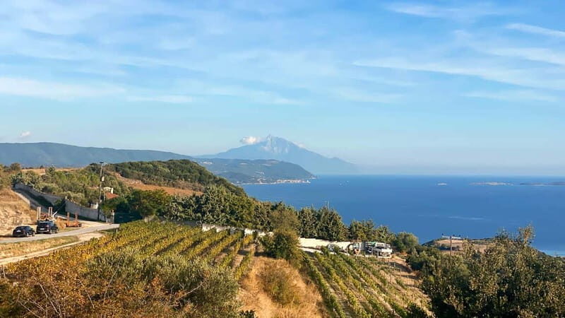 Thessaloniki: Halkidiki, Arnaia, Ierissos  Swim & Tasting - Final Thoughts