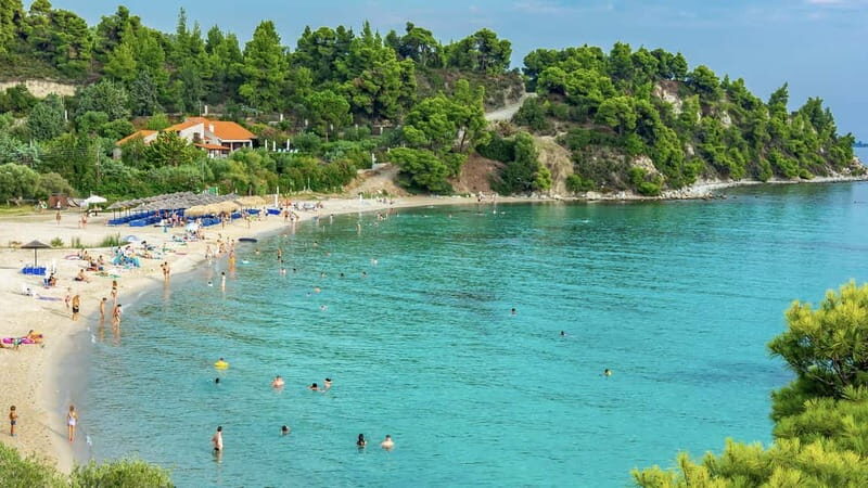 Thessaloniki: Halkidiki/Sithonia Swim, Sunset & Olive Tour - Key Points