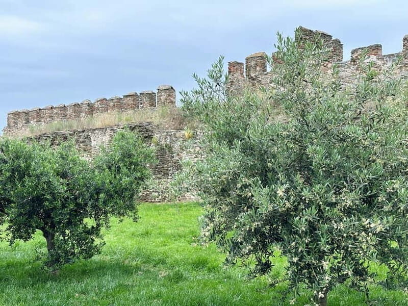 Thessaloniki Old Town Walking Tour-Culture-Nature-Plants - FAQ