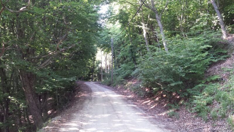 Thessaloniki: Private Mountain and Beaches SUV Safari - FAQ