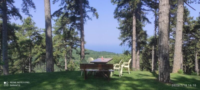Thessaloniki: Private Olympus, Gorge, Old Panteleimonas - FAQs