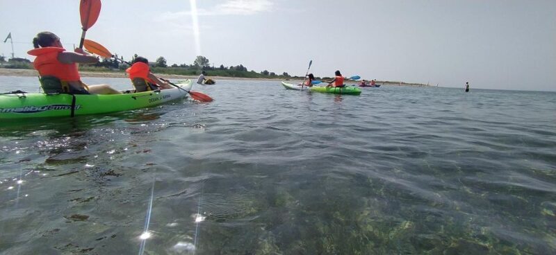 Thessaloniki: Private Sea Kayak Adventure at Epanomi - Key Points