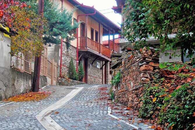 Thessaloniki to Naoussa, Wine Tasting Tour  Private Day Trip - Who Will Love This Tour?