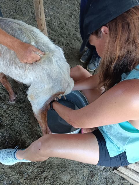 Thessaloniki: Visit a Farm and a traditional Village - Summary