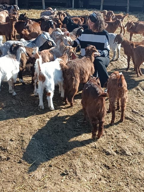 Thessaloniki: Visit a Farm and a traditional Village - FAQs