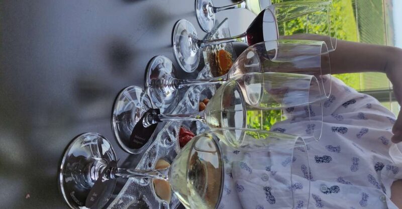 Thessaloniki: Winery Visit with Wine Tasting Experience - Who Should Consider This Tour?