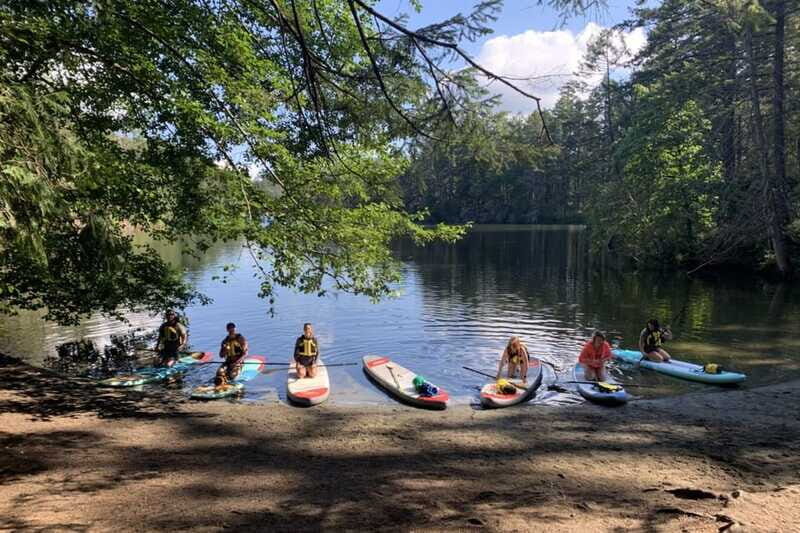 Thetis Lake: Paddle Board Tour with Gear Included - Key Points