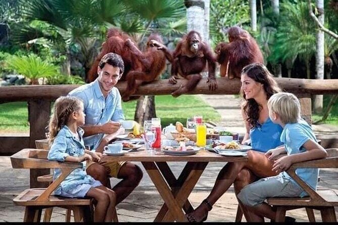 Things to do - Breakfast with Orang Utan - Discover Bali’s Unique Charm with the "Breakfast with Orang Utan" Tour