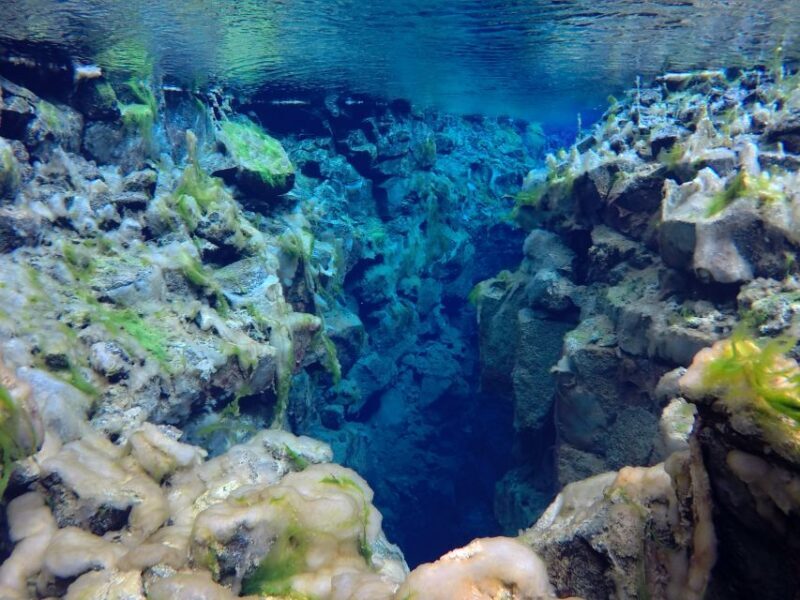 Thingvellir: Silfra Freedive Adevnture with a Guide - Frequently Asked Questions