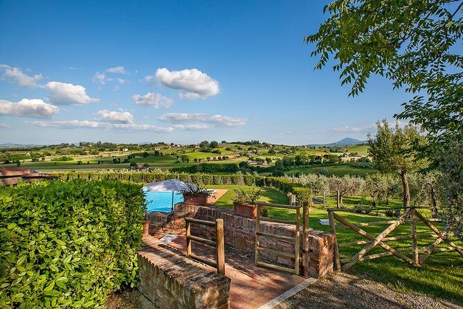Think of a romantic meal in the Olive Trees shade, accompanied by Tuscan wines! - Practical Details: What You Need to Know