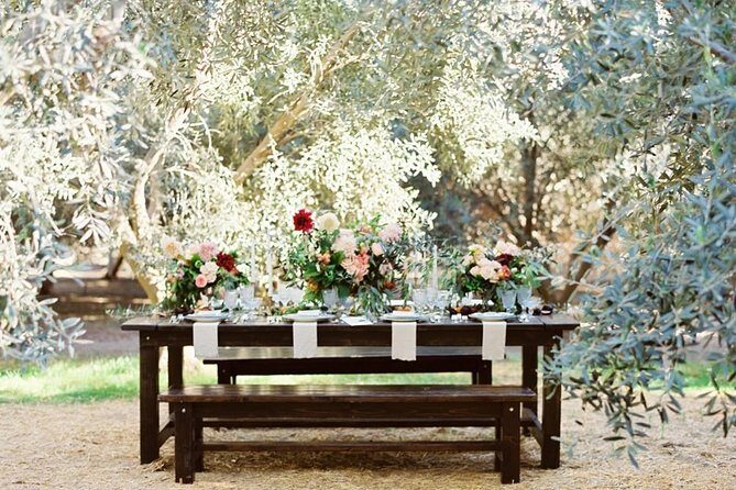 Think of a romantic meal in the Olive Trees shade, accompanied by Tuscan wines! - Who Will Appreciate This Tour?