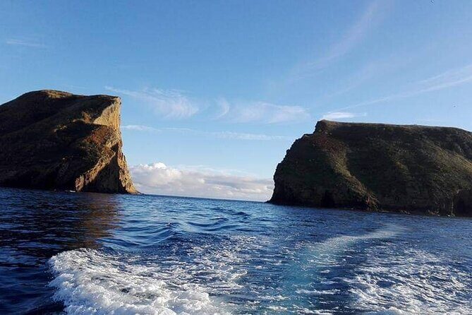Third Island: Ilhéu das Cabras Boat Tour + Snorkeling - Key Points