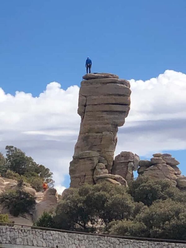 This guid tour lets the customers experience 4 bio zones. - A Detailed Look at the Tucson Mountain Bio Zones Tour