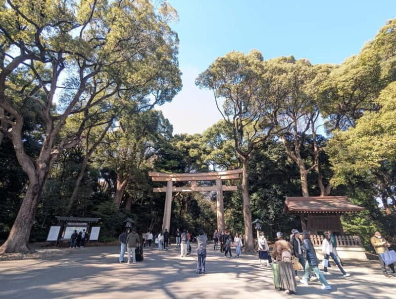 This is Real TOKYO!! SHIBUYA Tour from TGP!! - A Deep Dive into the Shibuya Experience