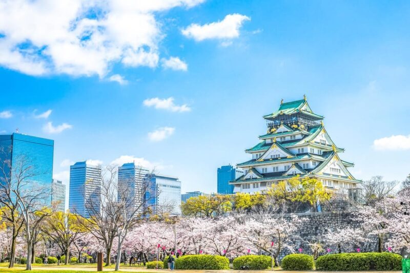 This is The Best Walking Tour, All Must-sees in Osaka! - Who Will Love This Tour?