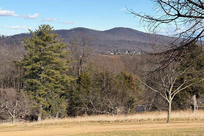 Thomas Jeffersons Monticello Excursion from Washington DC - Who Should Consider This Tour?