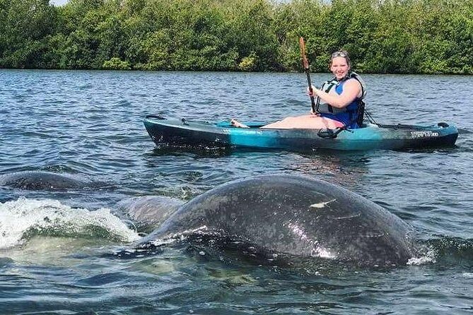 Thousand Island Mangrove Tunnel, Manatee & Dolphin Kayak Tour w/Cocoa Kayaking - FAQ