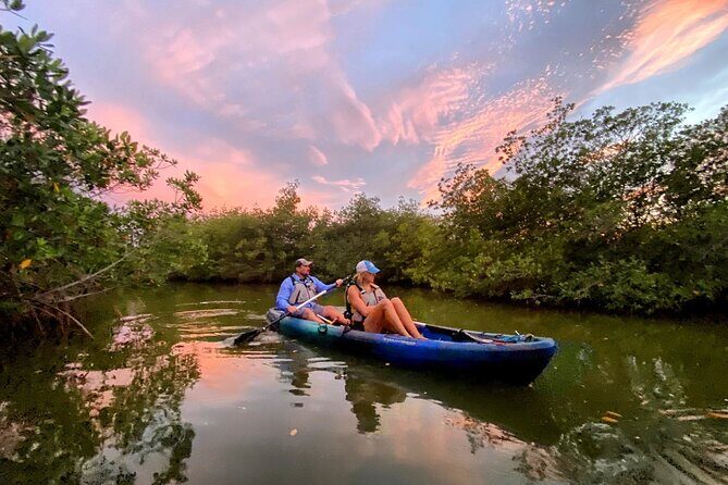 Thousand Islands Mangrove Tunnel & Bio Comb Jelly Sunset Tour - Who Should Take This Tour?