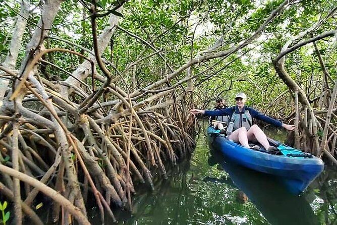 Thousand Islands Mangrove Tunnel Kayak Tour with Cocoa Kayaking! - A Closer Look at the Thousand Islands Mangrove Tunnel Kayak Tour