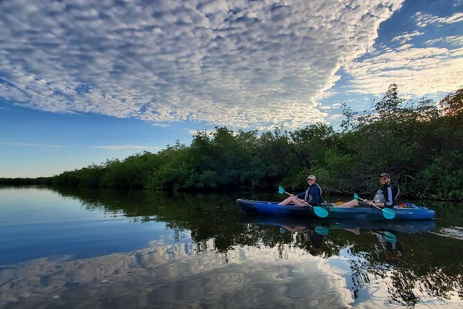 Thousand Islands Mangrove Tunnel Kayak Tour with Cocoa Kayaking! - Why Choose Cocoa Kayaking?