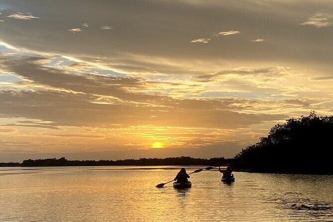 Thousand Islands Mangrove Tunnel Sunset Kayak Tour with Cocoa Kayaking! - FAQ