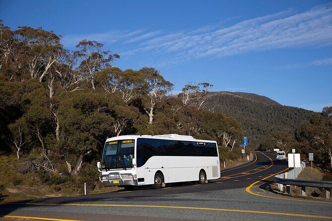 Thredbo or Perisher Bus Trip from Canberra - Introduction: Your Day on the Snow Starts Early