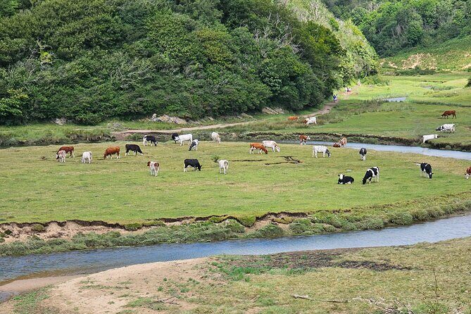 Three Cliffs Bay Circular Walk Gower Peninsula - FAQ
