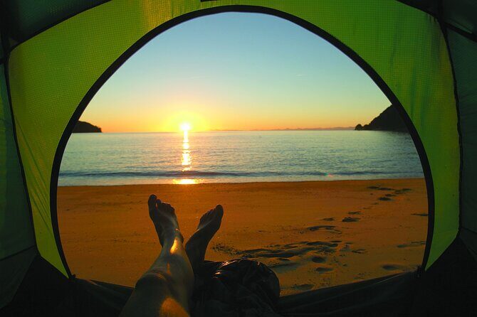 Three Day Classic Kayaking in New Zealand - A Closer Look: What to Expect from the Trip