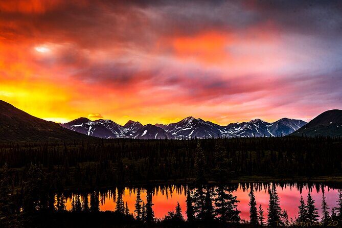 Three Day Private Denali Photo Workshop - Setting the Scene: An Authentic Alaskan Photography Expedition