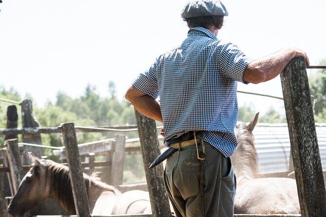Three Days Tour In A Traditional Ranch Estancia La Pilona - Key Points