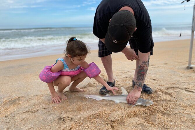 Three-Hour Beach Fishing Charter in Northeast Florida - Final Thoughts