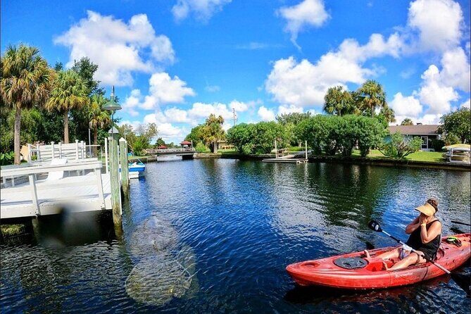 Three Sisters Springs Kayak And Swim Eco-Tour Crystal River - An In-Depth Look at the Three Sisters Springs Eco-Tour