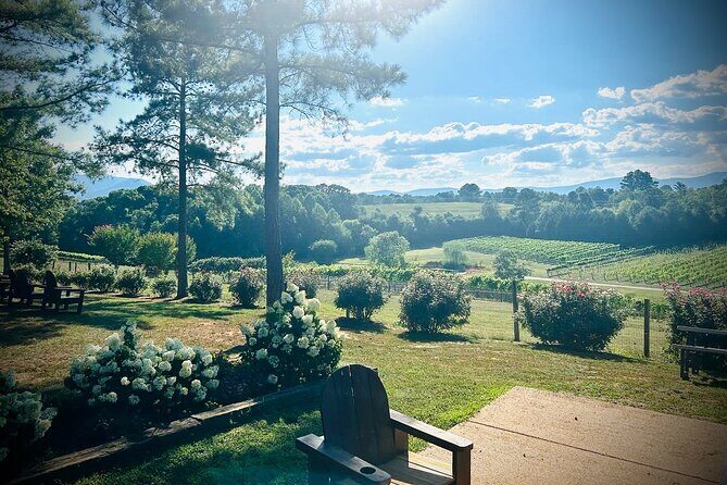 Three Vineyards Half Day Private Wine Tour From Asheville - Introduction: An Intimate Taste of North Carolina’s Wine Scene
