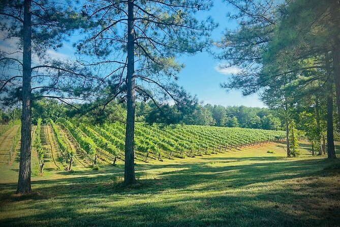 Three Vineyards Half Day Private Wine Tour From Asheville - Key Points