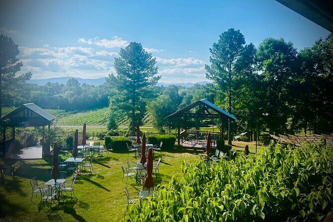 Three Vineyards Half Day Private Wine Tour From Asheville - The Sum Up: A Perfect Blend of Scenery, Wine, and Ease