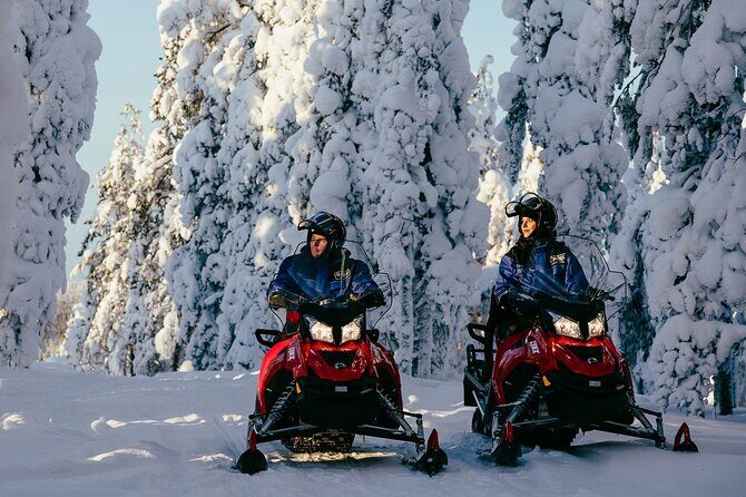 Thrill of Snowmobiling for Adults Only - Authentic Feedback from Travelers
