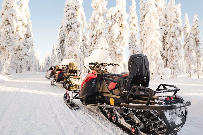 Thrill of Snowmobiling for Adults Only - The Sum Up