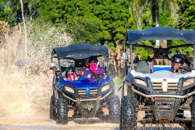 Thrilling Buggy Ride and Cave Swim from Punta Cana - Key Points