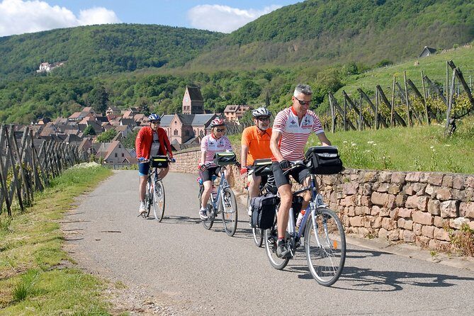 Through Alsace Vineyards and Wine Villages Private Bike Tour - Exploring Alsace by Bike: A Personal Review of the Vineyards and Wine Villages Tour