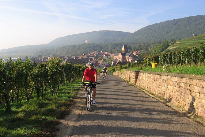 Through Alsace Vineyards and Wine Villages Private Bike Tour - Who Will Love This Tour?