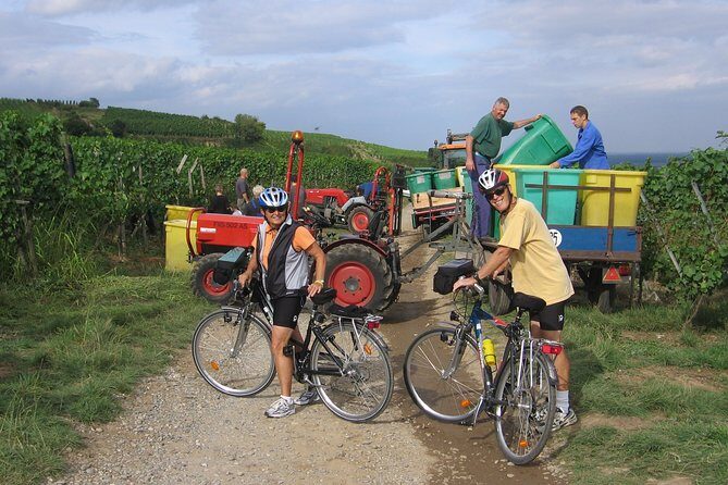 Through Alsace Vineyards and Wine Villages Private Bike Tour - The Sum Up