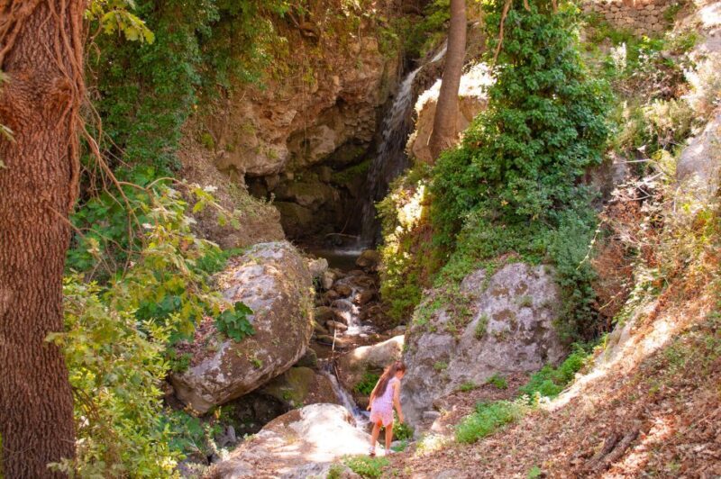 Through Heart of Crete to South & Wine Tasting Private tour - Analyzing the Value