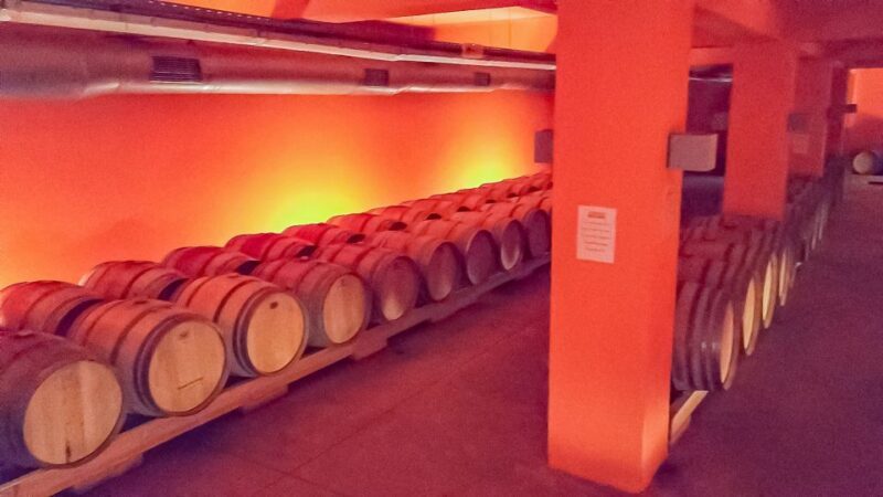 Through Heart of Crete to South & Wine Tasting Private tour - Who Is This Tour For?