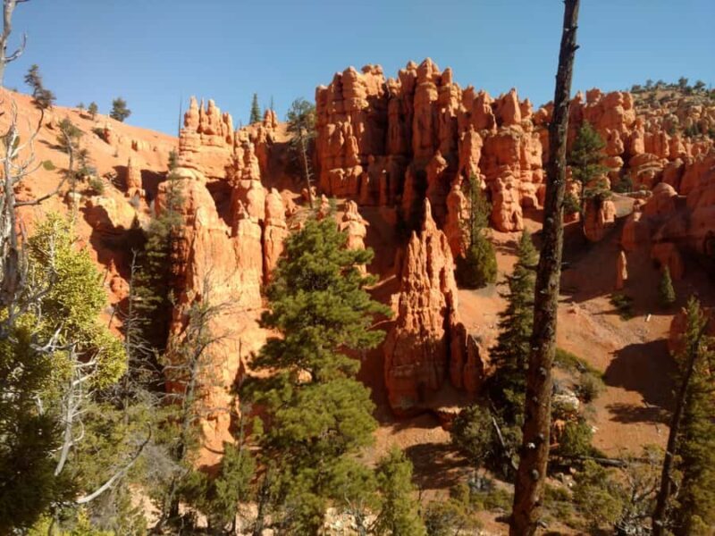 Thunder Mountain Trail: Scenic Horseback Ride - Who Should Consider This Tour?