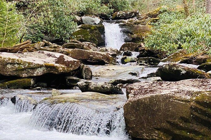 Thundering Streams and Falls of the Smokies Guided Hiking Tour - Key Points