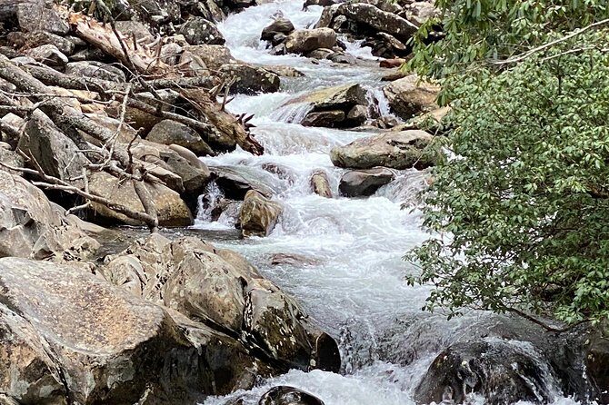 Thundering Streams and Falls of the Smokies Guided Hiking Tour - FAQ