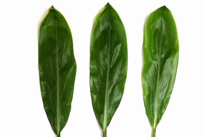 Ti Leaf Airport Lei Greeting (Maui, Kahului Airport, OGG) - Who Will Get the Most Out of This?