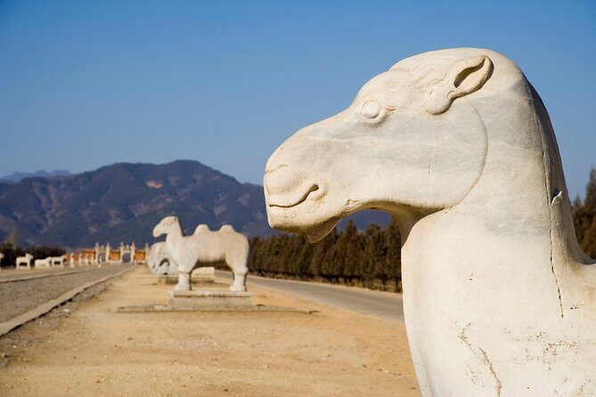 Tianjin Private Round Trip Transfer to Huangyaguan Pass and Eastern Qing Tombs - Final Thoughts